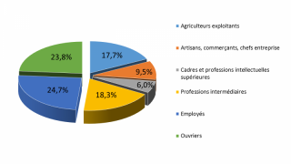 Pourcentage d’entreprise par secteur d’activité en 2011. Données INSEE.
