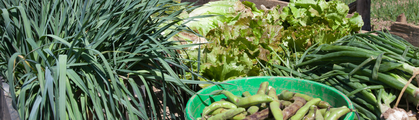 De nombreuses ressources naturelles