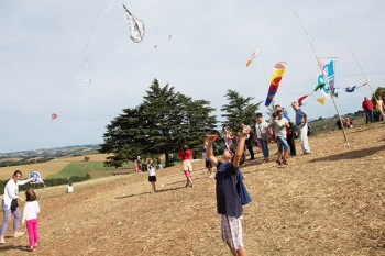 Cerfs volants à Terre en fête 2015 à Alban © D. Delpoux