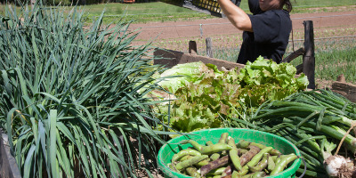 Projet Alimentaire territorial