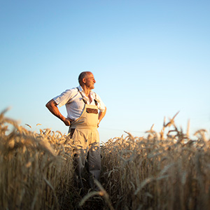 Photo agriculteur 3