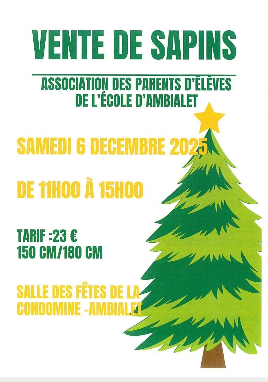 Vente de sapins de Noël, à Ambialet