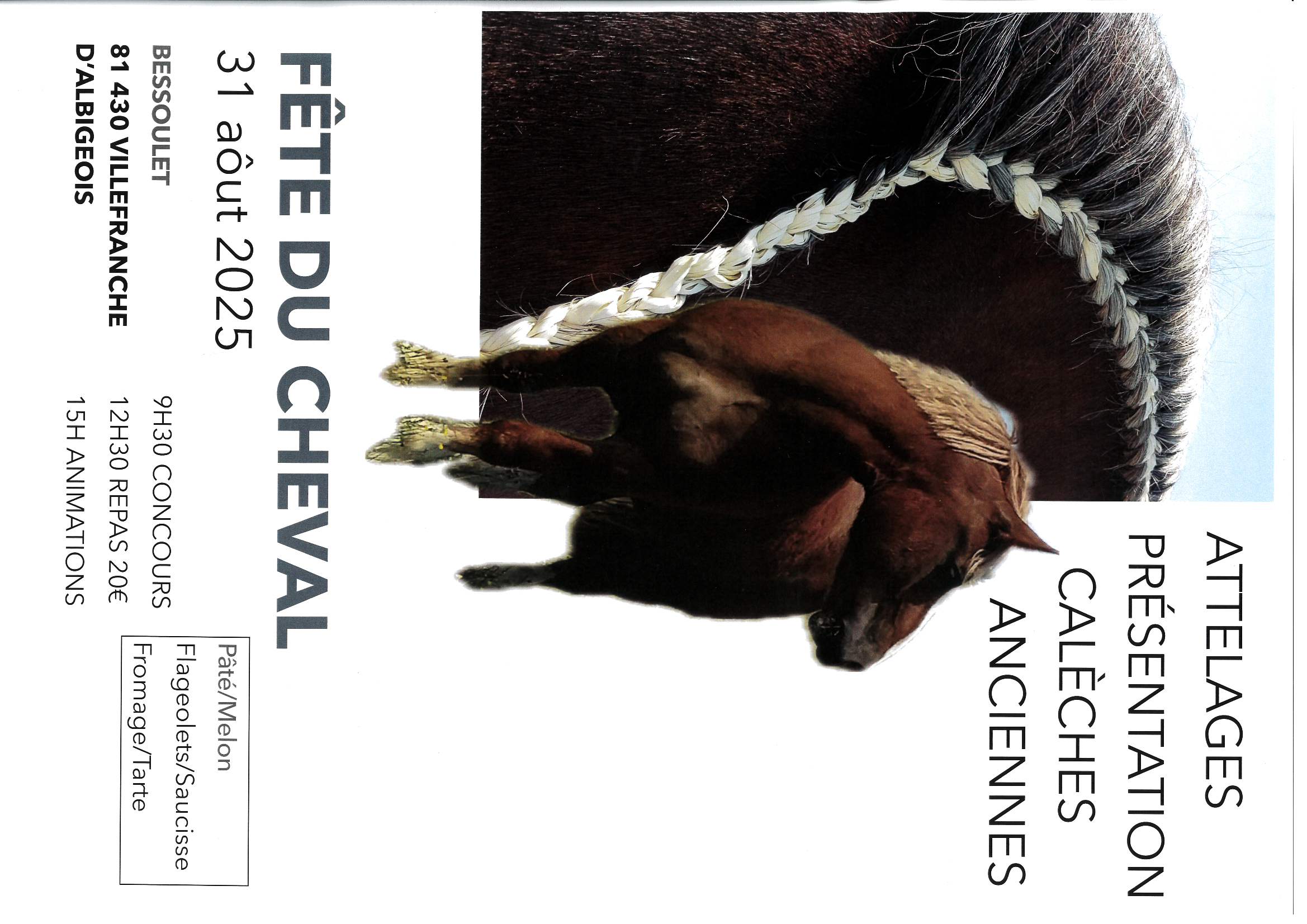 Fête du cheval, à Villefranche d'Albigeois