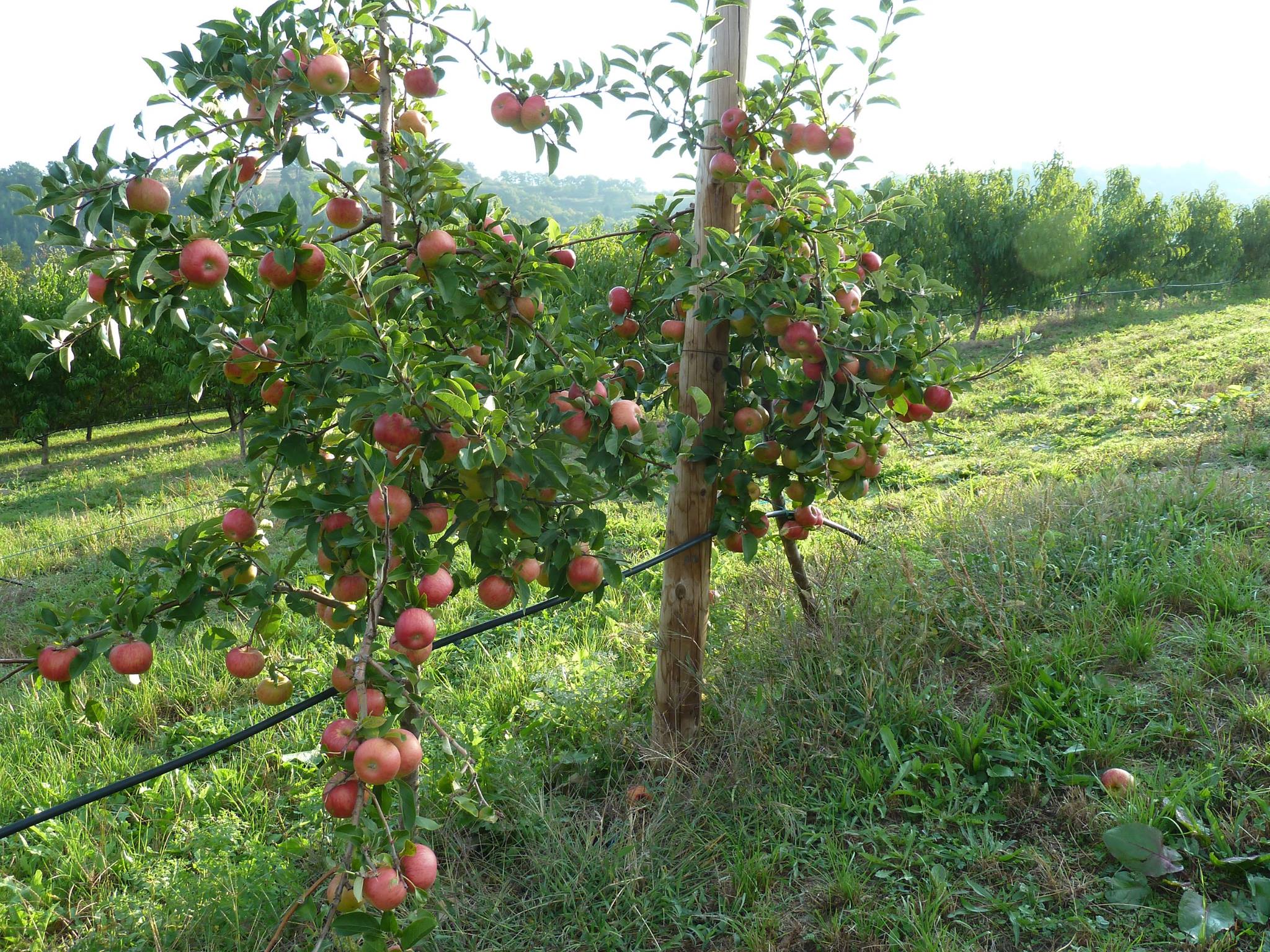 Balade nature automnale 