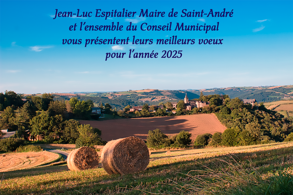 voeux 2025